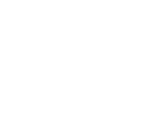 zkv logo web white